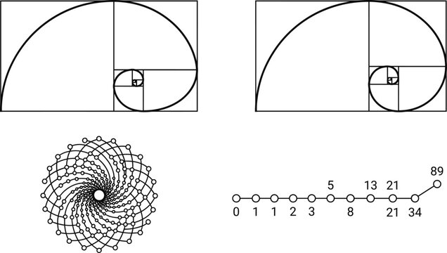 Golden ratio and fibonacci spiral sequence outline vector set featuring sacred geometry mathematical proportion science diagram elements