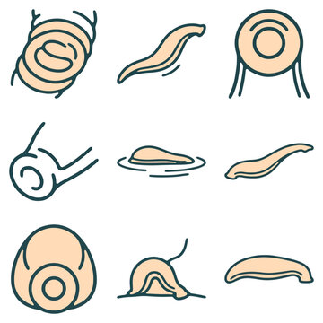 Leech Icons Set, Medical, Bloodsucking, Vector Illustration