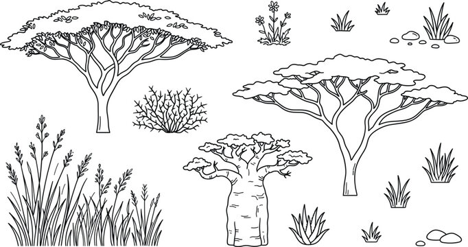 African savanna vegetation outline vector icon set featuring acacia trees baobab desert shrubs and wild grass elements
