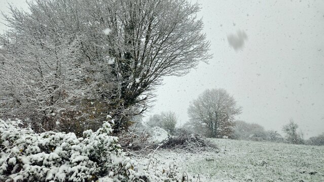 Paysage enneig&eacute; sous une pluie de neige 