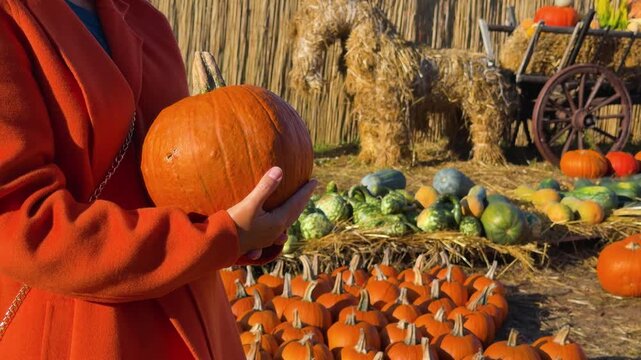 Mid-shot of person cradling medium orange pumpkin with both hands at chest level while wearing bright orange coat and teal collar, fingers interlaced under pumpkin indicate steadying or presenting