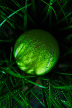 Tennis ball in grass.
