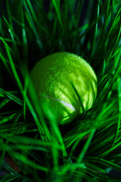 Tennis ball in grass.