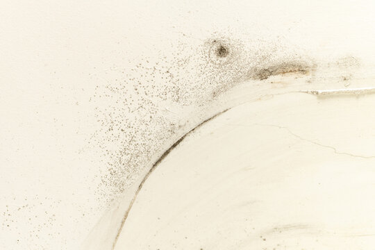 Closeup of a damaged white wall with mould