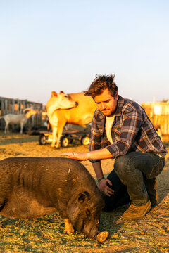 Man petting pig outdoors farm
