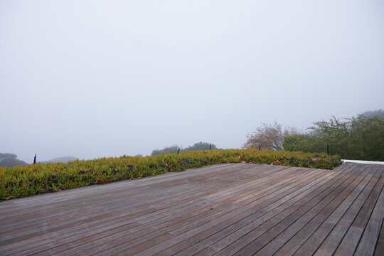 Weathered wooden deck angling toward succulent groundcover, dark posts and white trim, fog settling