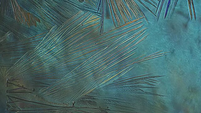 Real time polarized light macro microscopy of crystal formation displaying sharp needlelike mineral structures and feather textures expanding over deep teal blue solution science background
