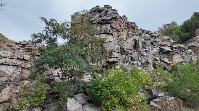 Abandoned quarry with cliffs and green trees