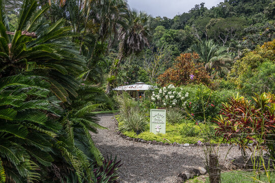 View of a gravel path winding through a lush tropical garden with vibrant foliage and flowering plants leading to a small building in Costa Rica.