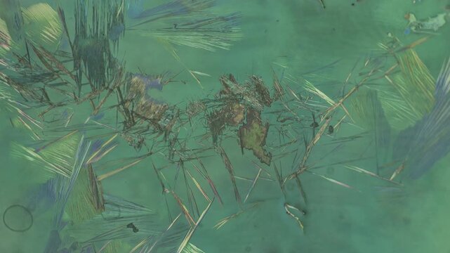 Real time polarized light microscopy of crystal formation displaying sharp needlelike mineral structures and embossed textured core expanding over emerald jade green solution science background
