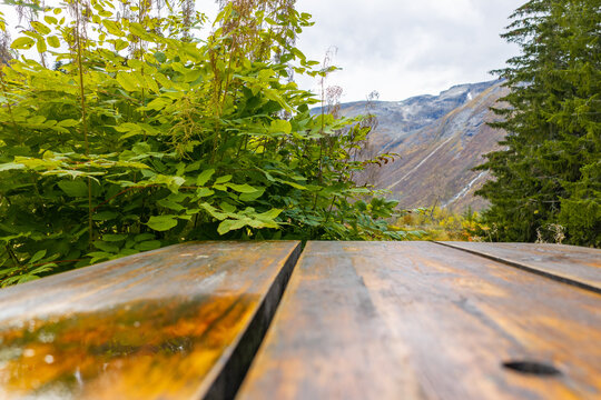 View of a wooden picnic table in the foreground with lush green bushes and a mountain landscape in the background in Fjord, More og Romsdal, Norway.