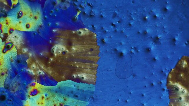 Microscopic time lapse of cross polarized light crystallization showing accelerated growth of colorful mineral structures expanding over deep blue fluid background from initial to final stage
