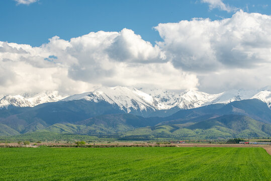 View of the snow-capped peaks of the Fagaras Mountains rising above green foothills and a lush field in Nucsoara, Arges, Romania.