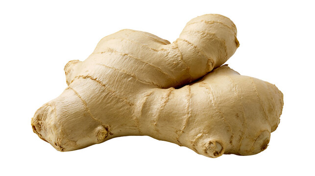 Raw ginger root with textured skin, isolated on transparent background