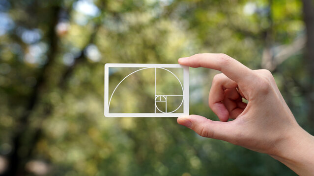 hand holding a composition grid with golden section, balance, composition, harmony