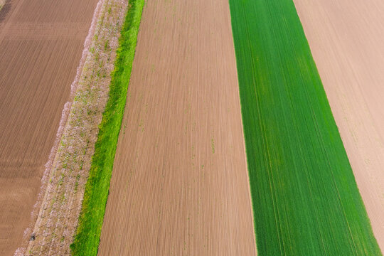 View of agricultural fields with distinct bands of brown soil and green crops in Romania.
