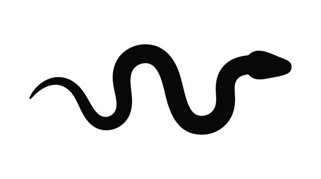Black snake form with a winding body is a dark silhouette