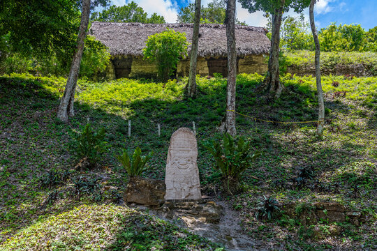 Stela 11 with Rain God Tlaloc in Teotihuacan style in Mayan city of Yaxha, Yaxha - Nakhum - Naranjo national park, Guatemala.