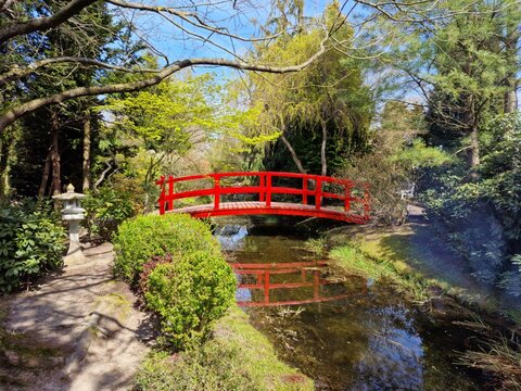 Red arched footbridge over a pond in a landscaped garden Hortulus