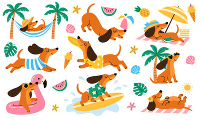 Fototapeta premium Cute summer collection of playful dachshunds enjoying beach activities, including surfing, swimming, relaxing, sunbathing and playing. Tropical elements, flat vector illustrations isolated on white