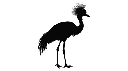 Obraz premium Grey crowned crane silhouette against a white background