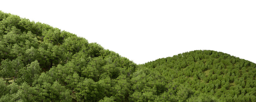Evergreen forest mountain terrain on transparent background 3d render png