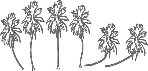 Hand drawn sketch of palm trees set isolated on transparent background © PNG Stock 