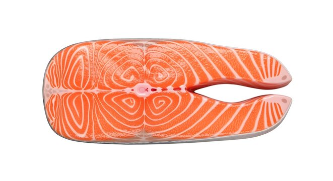 3D CGI raw salmon fillet with realistic marbling pattern and glossy moist shader, isolated white.