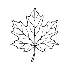 Fototapeta premium Maple leaf outline sketch featuring intricate veins in minimalist black and white line art style perfect for autumn graphic design and seasonal nature projects.