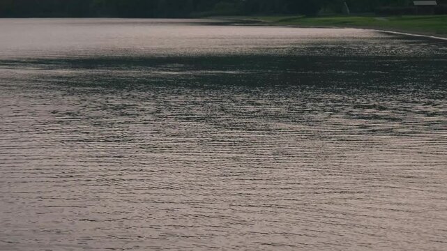 A Quiet Cove with a Lakeside Park Lawn in the Background
