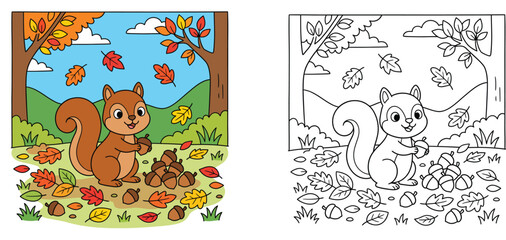 Fototapeta premium Cute cartoon squirrel with acorns and autumn leaves coloring page and color sample illustration for kids activity book vector