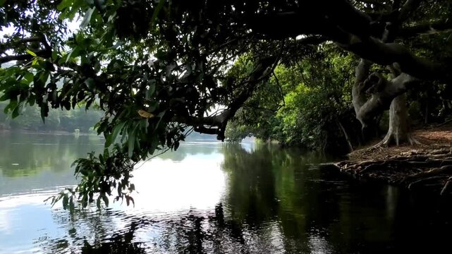 Coracle boat ride through the Kaveri River near Hogenakkal, Tamil Nadu, India
