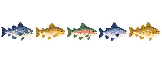 Colorful spotted trout arranged in a horizontal row © Andrei