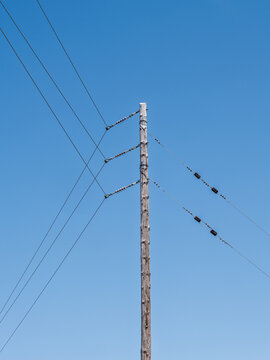 Strommast aus Holz mit diagonal verlaufenden Leitungen vor blauem Himmel