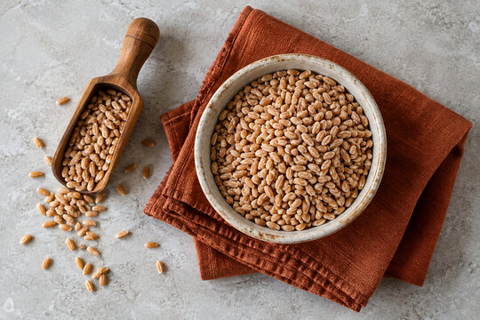 Dry Farro Grains in Stoneware Bowl with Wooden Scoop