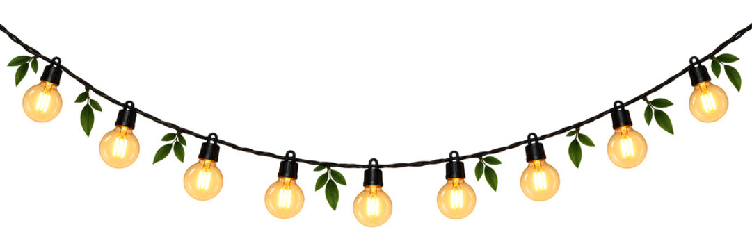 Elegant Leaf String Lights with Warm Bulbs for Holiday Decor on a isolated transparent background
