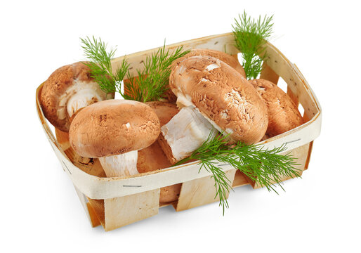 Fresh champignon mushrooms in a wooden basket with green leaves of dill herbs on white background. Isolated PNG