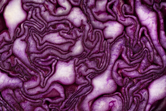 Half of fresh red cabbage texture, as background. Healthy food, fresh vegetables.