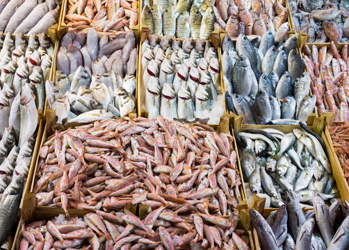 Seafood and raw fish market. Food concept photo.
