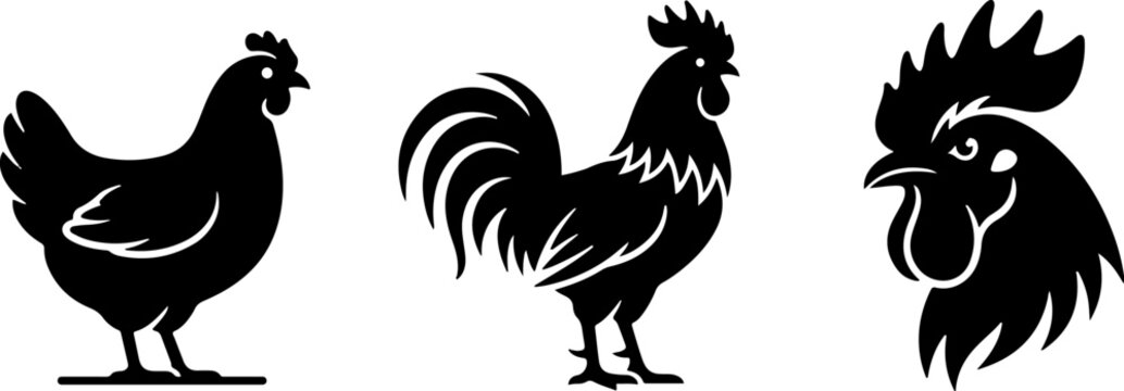 Chicken and rooster silhouette icon set showing farm bird and poultry vector illustration with farm animal rooster head poultry farming
