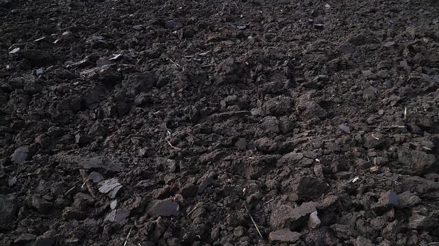 Reversible cultivator. Modern tractor with reversible plow plows the field. Soil cultivation with a cultivator. n