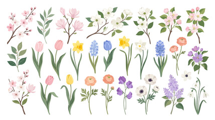 Fototapeta premium Spring Floral Collection: Blossoms, Tulips, Daffodils, Hyacinths, Ranunculus, Anemones