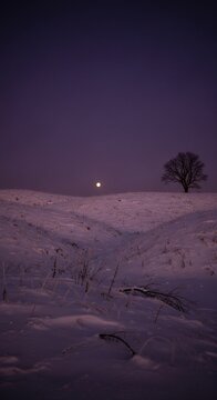 Stunning deep purple sky during a cold winter evening