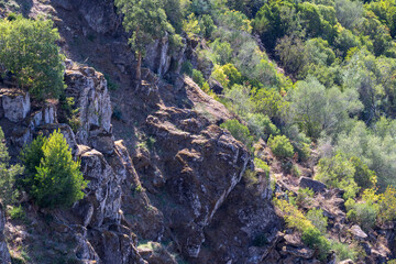Fototapeta premium Zêzere river rocky cliff and forest landscape
