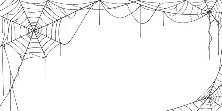 vector illustration of a spider web	