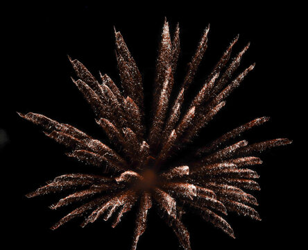 fireworks in the night sky