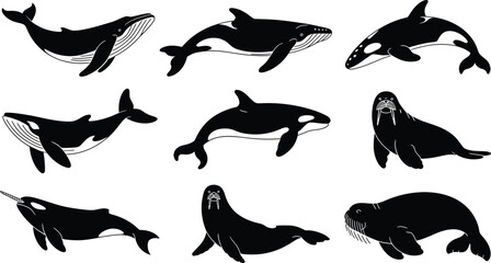 Assorted black silhouettes of arctic marine mammals including whales and walruses on a white background © Shamima