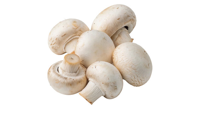 Group of fresh raw white button mushrooms agaricus culinary ingredient isolated on transparent background