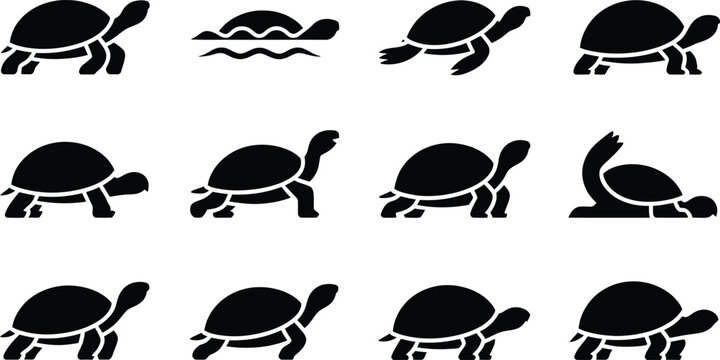 Twelve turtle silhouettes in various poses and movements on white background tortoise