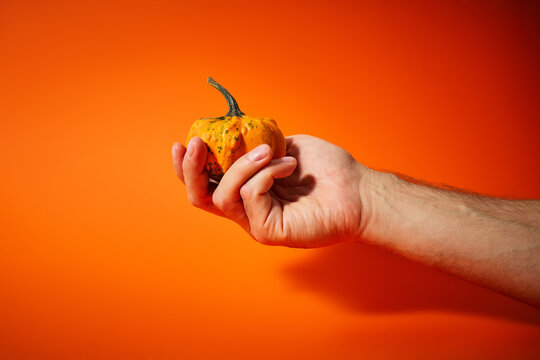 Hand Holding a Small Decorative Pumpkin on Bright Orange Background